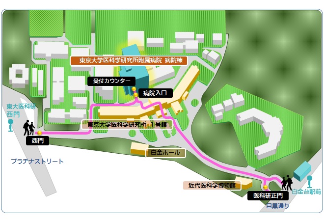 正門・西門からのルート（日中）